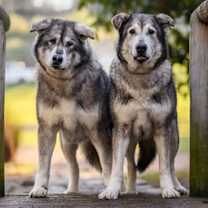 Thumbnail photo of NICOLE #2