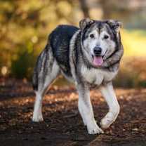 Thumbnail photo of NICOLE #3