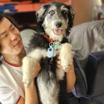 Thumbnail photo of Johnny Boy #4