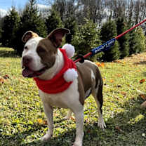 Thumbnail photo of Tia - Totally Terrific! #2