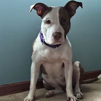 Thumbnail photo of Tia - Totally Terrific! #3