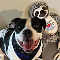 Thumbnail photo of Jersey #1