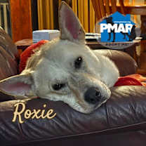 Thumbnail photo of Roxie #1