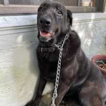 Thumbnail photo of Richard #1