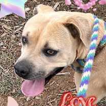 Thumbnail photo of SASHI #4