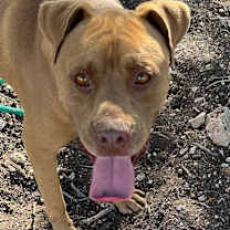 Thumbnail photo of Freddy #1