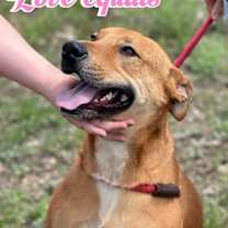 Thumbnail photo of Valerie #1