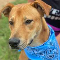 Thumbnail photo of Valerie #2