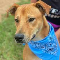 Thumbnail photo of Valerie #3