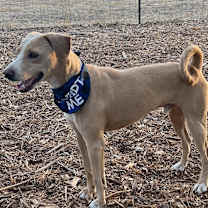 Thumbnail photo of Rory #1