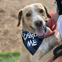 Thumbnail photo of Rory #2