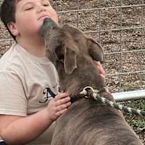 Thumbnail photo of BESA #2