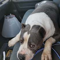 Thumbnail photo of Kody #4