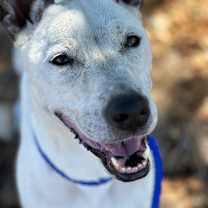 Thumbnail photo of Ghost #1