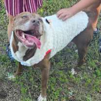 Thumbnail photo of Charlotte #1