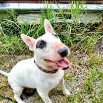 Thumbnail photo of Cammie #1