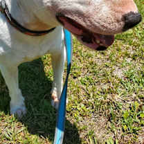 Thumbnail photo of Cammie #2