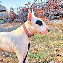 Thumbnail photo of Cammie #4