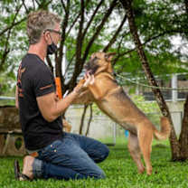 Thumbnail photo of Waranda #3