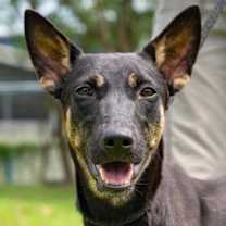 Thumbnail photo of Isaboo #1