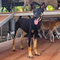 Thumbnail photo of Isaboo #2