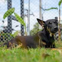 Thumbnail photo of Isaboo #3