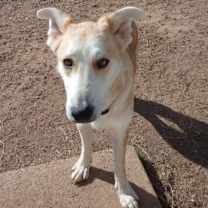 Thumbnail photo of Sonny #2