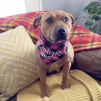 Thumbnail photo of Mia #3