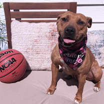 Thumbnail photo of Mia #4