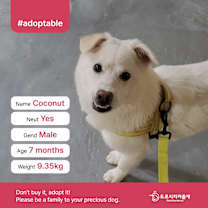 Thumbnail photo of Coconut(D) #1