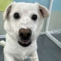 Thumbnail photo of Coconut(D) #2