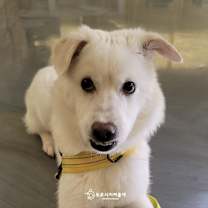 Thumbnail photo of Coconut(D) #3