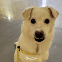 Thumbnail photo of Coconut(D) #4