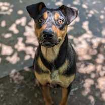 Thumbnail photo of Joseph #3