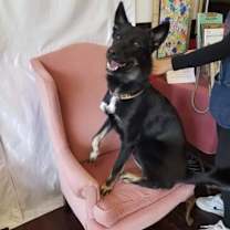 Thumbnail photo of Shadow #3