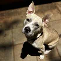 Thumbnail photo of Enola #1