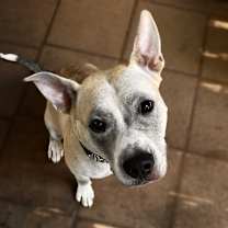 Thumbnail photo of Enola #2