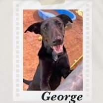 Thumbnail photo of George #1