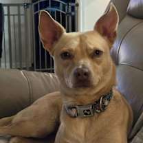 Thumbnail photo of Lizotte #2