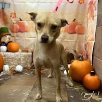 Thumbnail photo of Lizotte #3