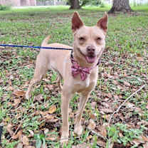 Thumbnail photo of Lizotte #4