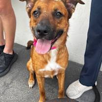 Thumbnail photo of Leilani #2