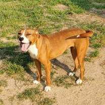 Thumbnail photo of Jill #2