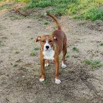 Thumbnail photo of Jill #3