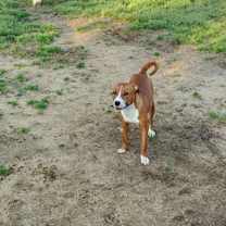 Thumbnail photo of Jill #4