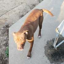 Thumbnail photo of Jack #3