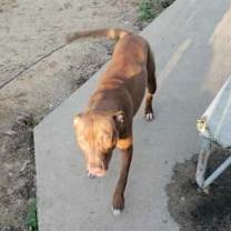 Thumbnail photo of Jack #4