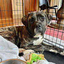 Thumbnail photo of Zay #2