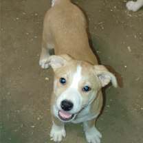 Thumbnail photo of Haven #2