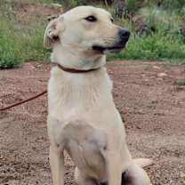 Thumbnail photo of Oliver #2